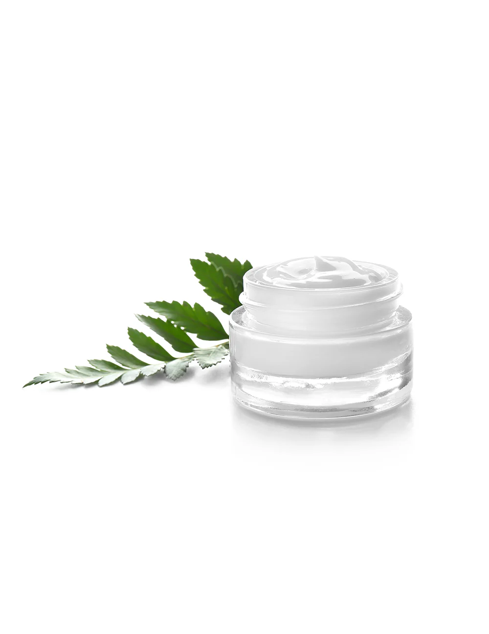 Rich Cushion Cream Ultra Plumping Moisturizer